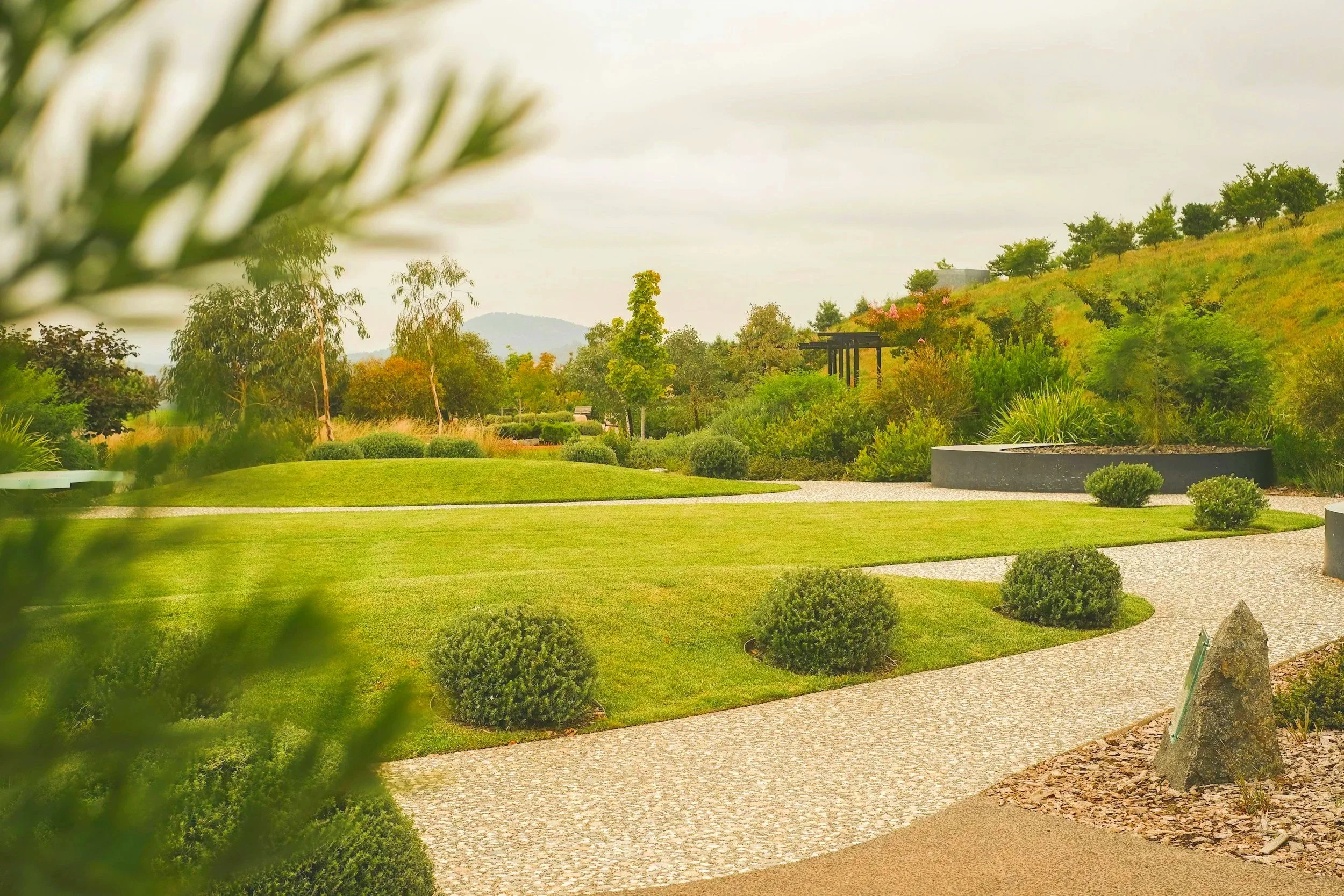 Lush landscaped lawn in Marietta, GA